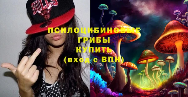 гидра Горняк