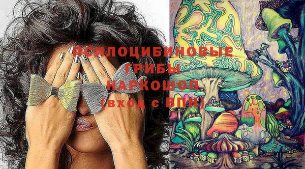 гидра Горняк