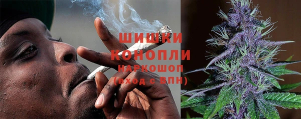 гидра Горняк