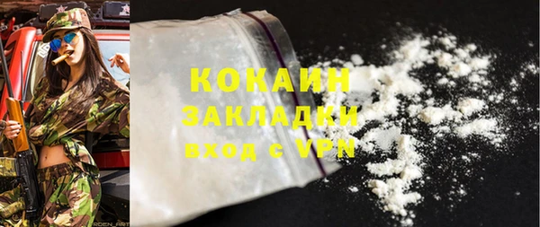 гидра Горняк