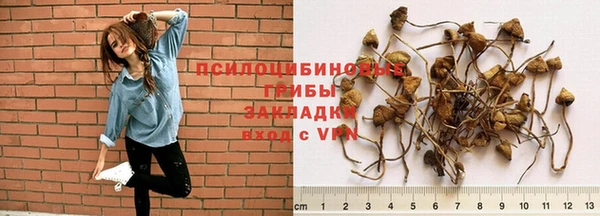 мескалин Горно-Алтайск