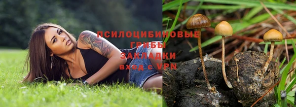 гидра Горняк