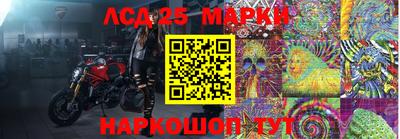 ПСИЛОЦИБИНОВЫЕ ГРИБЫ Берёзовский