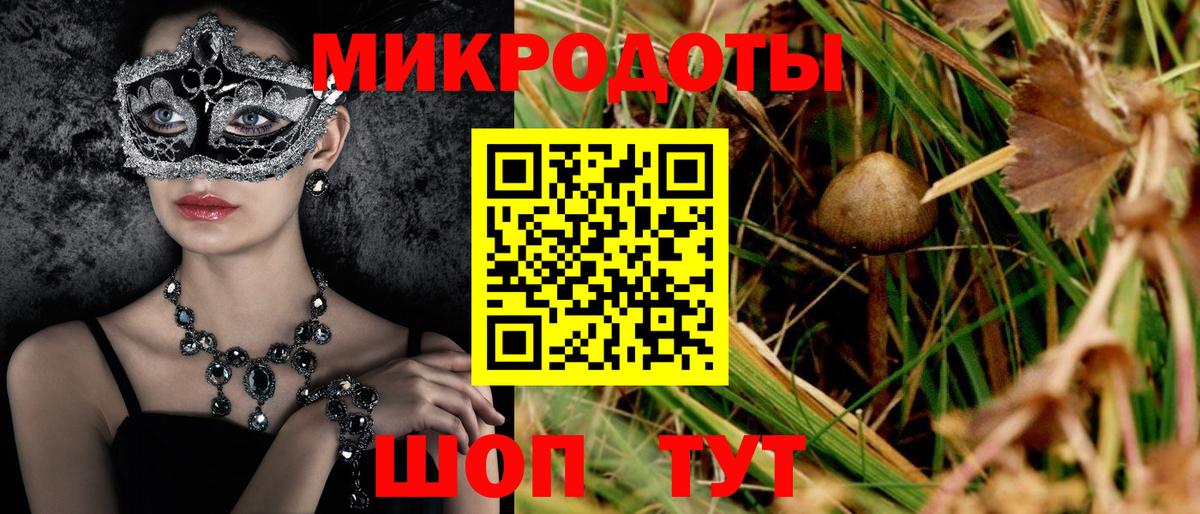 Псилоцибиновые грибы мицелий  Богородск 