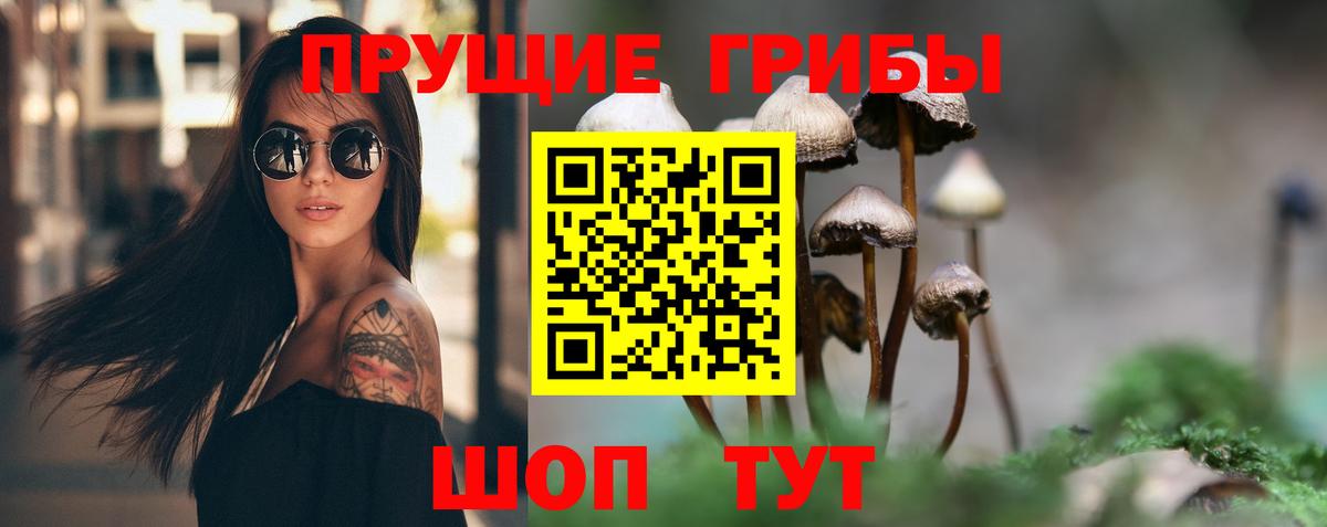 Галлюциногенные грибы прущие грибы Богородск